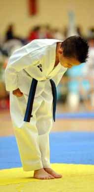 saludo taekwondo