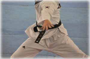 potencia y velocidad, taekwondo